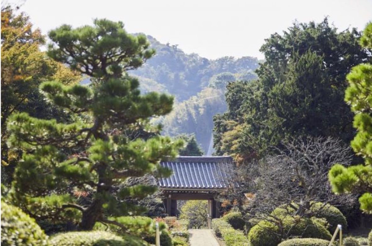 浄明寺の庭から門と山を望む風景